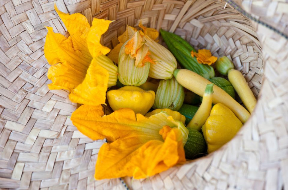 For the Birds • Feeding Crane Farms shows that humans could learn